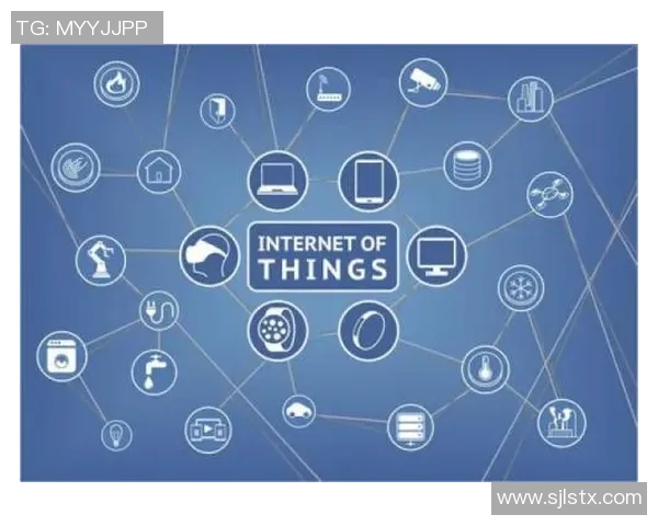 星空娱乐在元宇宙领域的战略布局与未来发展展望分析