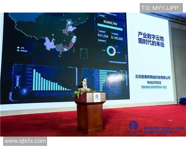 红桃国际数字身份系统助力全球数字经济发展与安全管理新模式探索 红桃国际数字身份系统助力全球数字经济发展与安全管理新模式探索