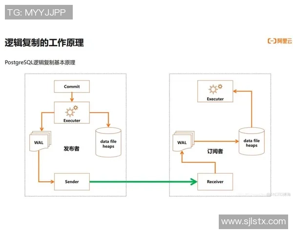 探索pg国际内存数据库集群的高效架构与应用前景分析